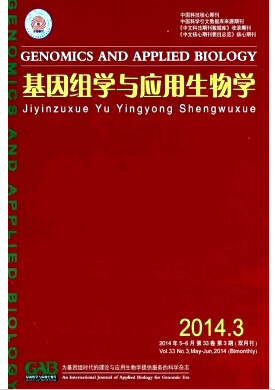 MW(xu)c(yng)W(xu)
