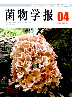 W(xu)(bo)s־W(xu)ڿ