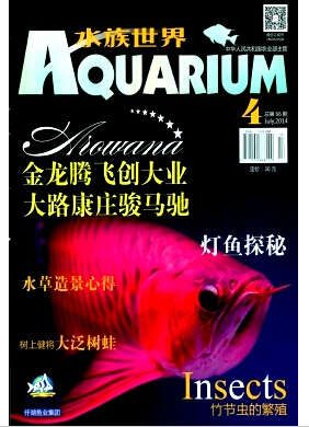ˮ硷^p~Ҽڿ