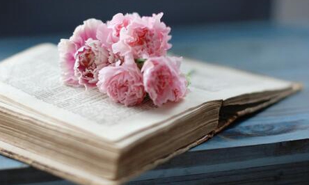 QurՓİl(f)ڿҪ